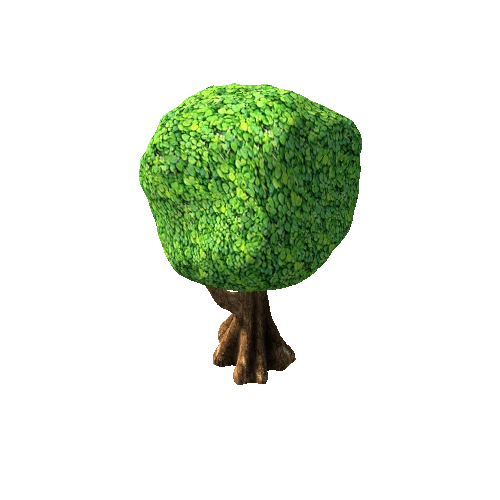 tree ficus HD 5